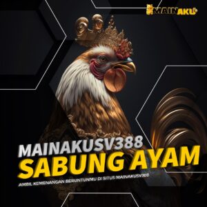 sabung ayam mainaku