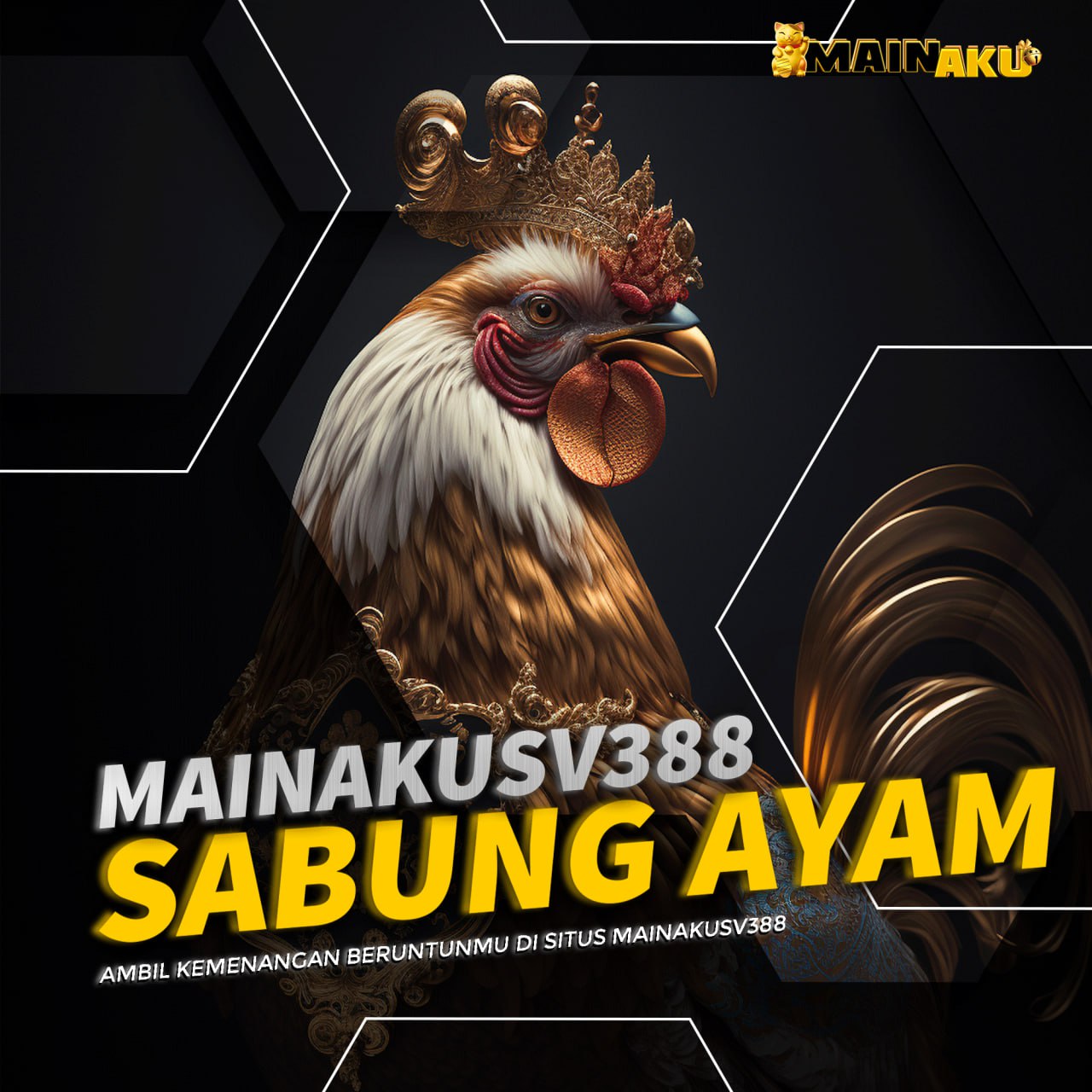 Rahasia Para Jawara! Ini Cara Memilih Ayam Jago Terbaik untuk Sabung Ayam di 2025