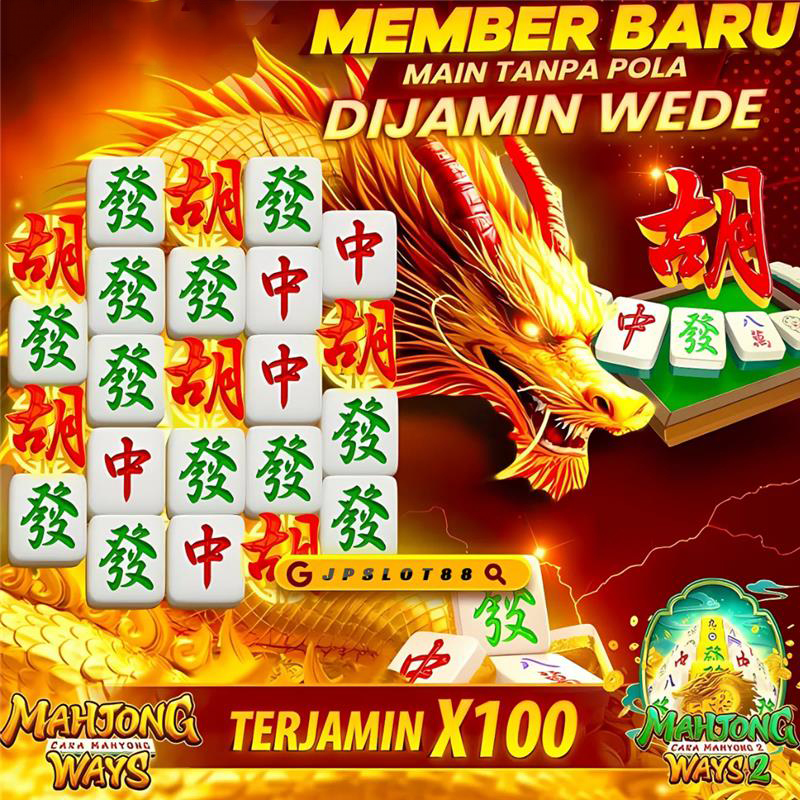 Ayam Aduan Terkuat Sepanjang Sejarah MAINAKU & QRISBOS