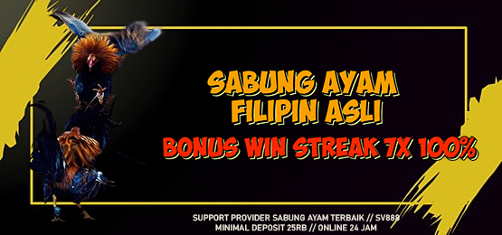 Sabung Ayam Online: Konten Lama yang Tetap Mengundang Klik